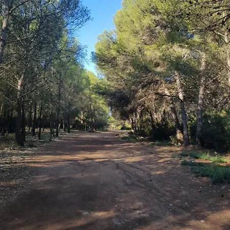 La Rose Des Sables, T2 A La Mer, Terrasse Et Garage * פרונטיניאן