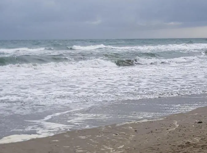 Апартаменты La Rose Des Sables, T2 A La Mer, Terrasse Et Garage