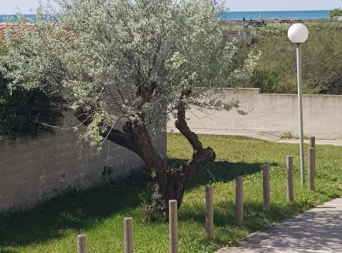 La Rose Des Sables, T2 A La Mer, Terrasse Et Garage Апартаменты