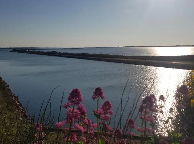 La Rose Des Sables, T2 A La Mer, Terrasse Et Garage Апартаменты Фронтиньян