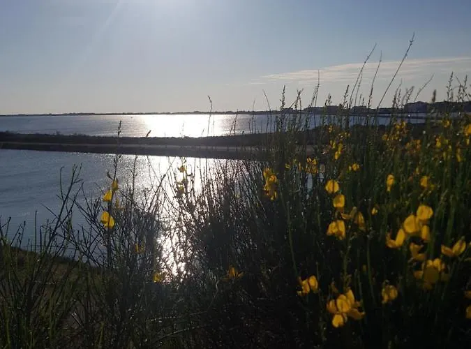 Апартаменты La Rose Des Sables, T2 A La Mer, Terrasse Et Garage *