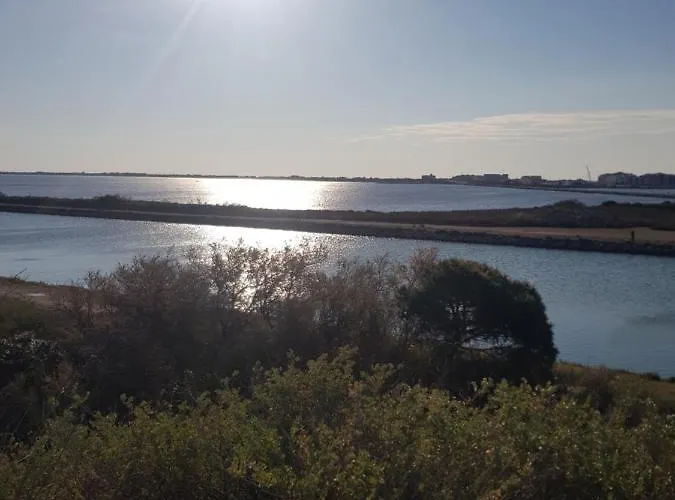 Апартаменты La Rose Des Sables, T2 A La Mer, Terrasse Et Garage