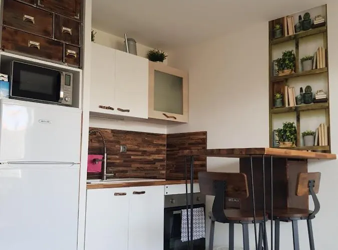 La Rose Des Sables, T2 A La Mer, Terrasse Et Garage Апартаменты Фронтиньян