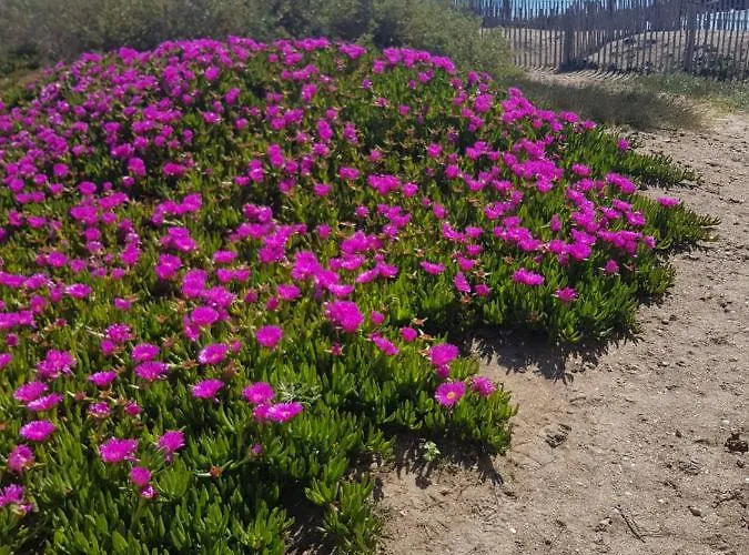 La Rose Des Sables, T2 A La Mer, Terrasse Et Garage *