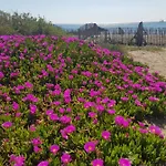 La Rose Des Sables, T2 A La Mer, Terrasse Et Garage شقة