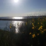 شقة La Rose Des Sables, T2 A La Mer, Terrasse Et Garage *