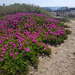 La Rose Des Sables, T2 A La Mer, Terrasse Et Garage *