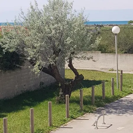 La Rose Des Sables, T2 A La Mer, Terrasse Et Garage Apartamento