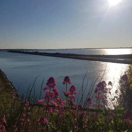 La Rose Des Sables, T2 A La Mer, Terrasse Et Garage Apartamento Frontignan