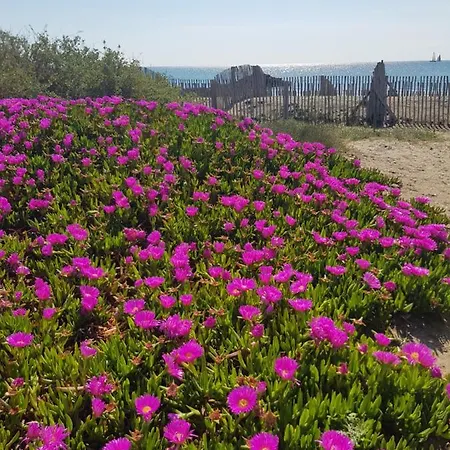 La Rose Des Sables, T2 A La Mer, Terrasse Et Garage Apartamento