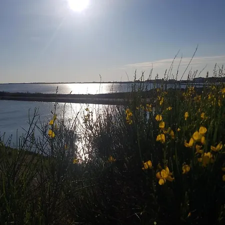 Apartamento La Rose Des Sables, T2 A La Mer, Terrasse Et Garage *