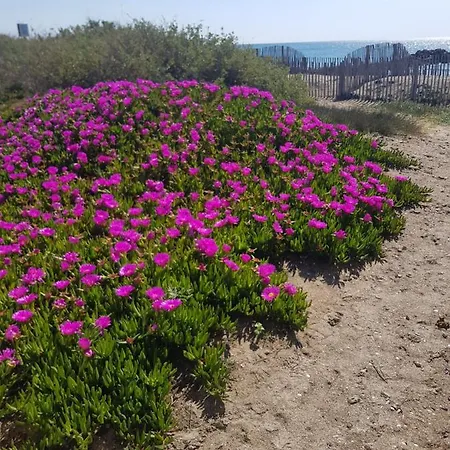 La Rose Des Sables, T2 A La Mer, Terrasse Et Garage *