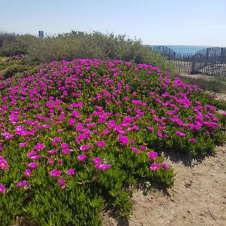 La Rose Des Sables, T2 A La Mer, Terrasse Et Garage *