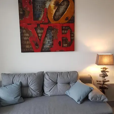 Apartamento La Rose Des Sables, T2 A La Mer, Terrasse Et Garage *