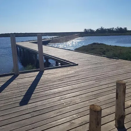La Rose Des Sables, T2 A La Mer, Terrasse Et Garage Frontignan