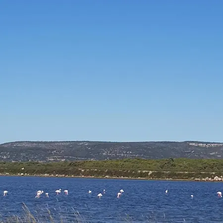 La Rose Des Sables, T2 A La Mer, Terrasse Et Garage Apartamento Frontignan