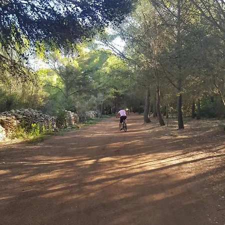 La Rose Des Sables, T2 A La Mer, Terrasse Et Garage فرونتينيان