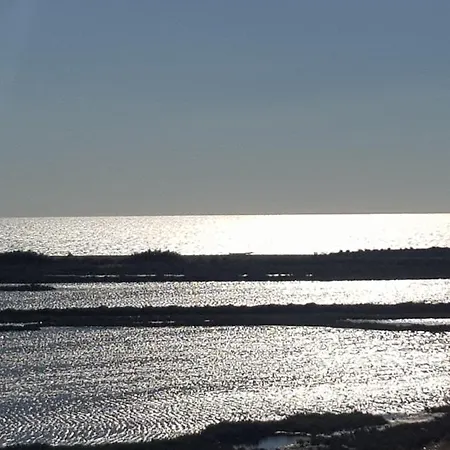 La Rose Des Sables, T2 A La Mer, Terrasse Et Garage * Frontignan